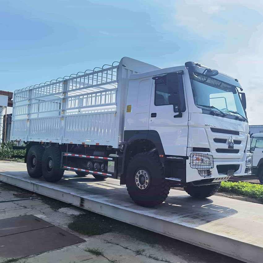 SINOTRUK HOWO 6X4 25T Cargo Lorry Truck