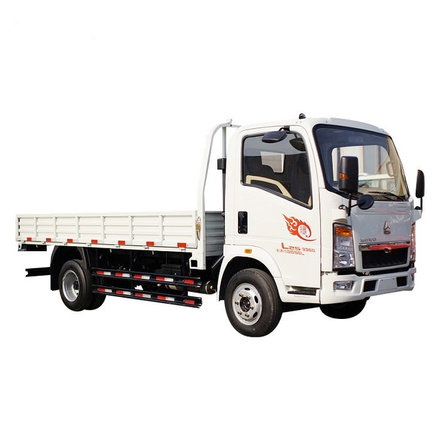 HOWO 4X2 3T 5T Cargo Truck