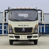 HOWO 4X2 3T Cargo Lorry Truck for Algeria