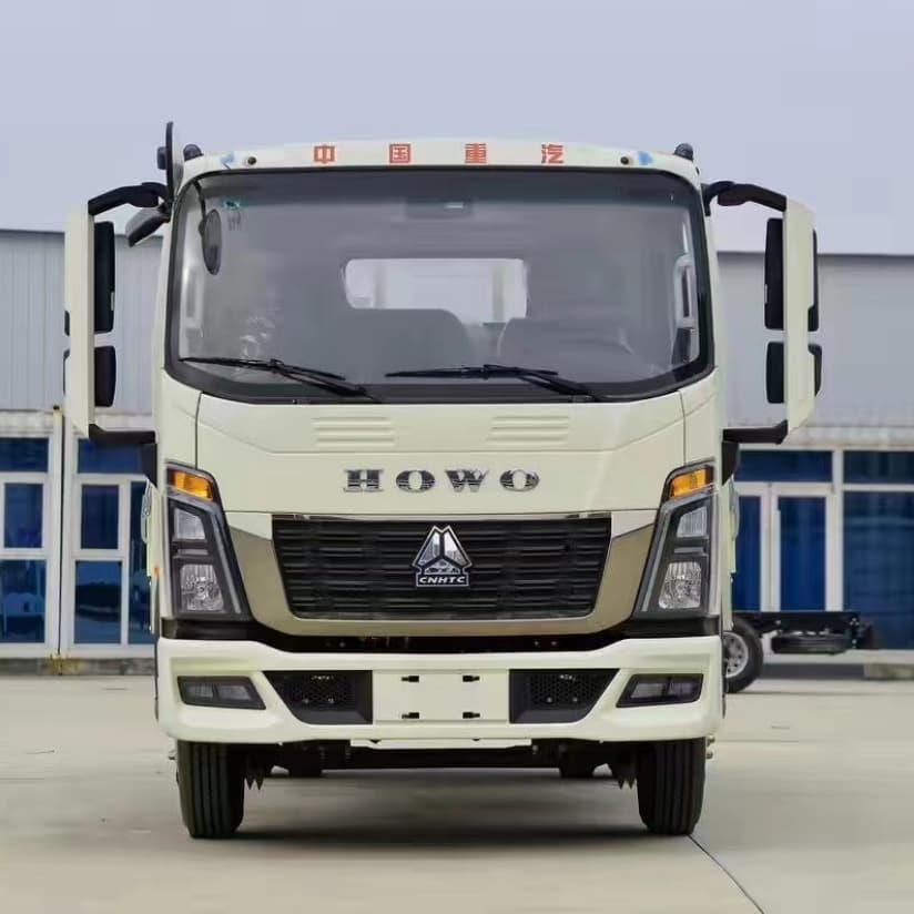 HOWO 4X2 3T Cargo Lorry Truck for Algeria