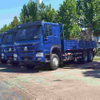 SINOTRUK HOWO 6X4 25T Cargo Lorry Truck