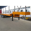 CIMC 3 Axles Lowbed Trailer with hydraulic Ladder