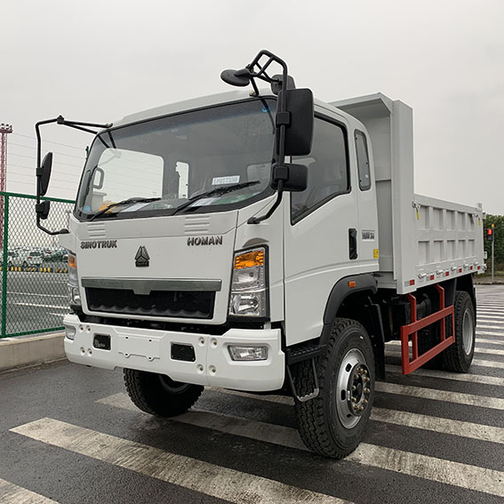 SINOTRUK HOWO 4X2 5T Dump Truck 3