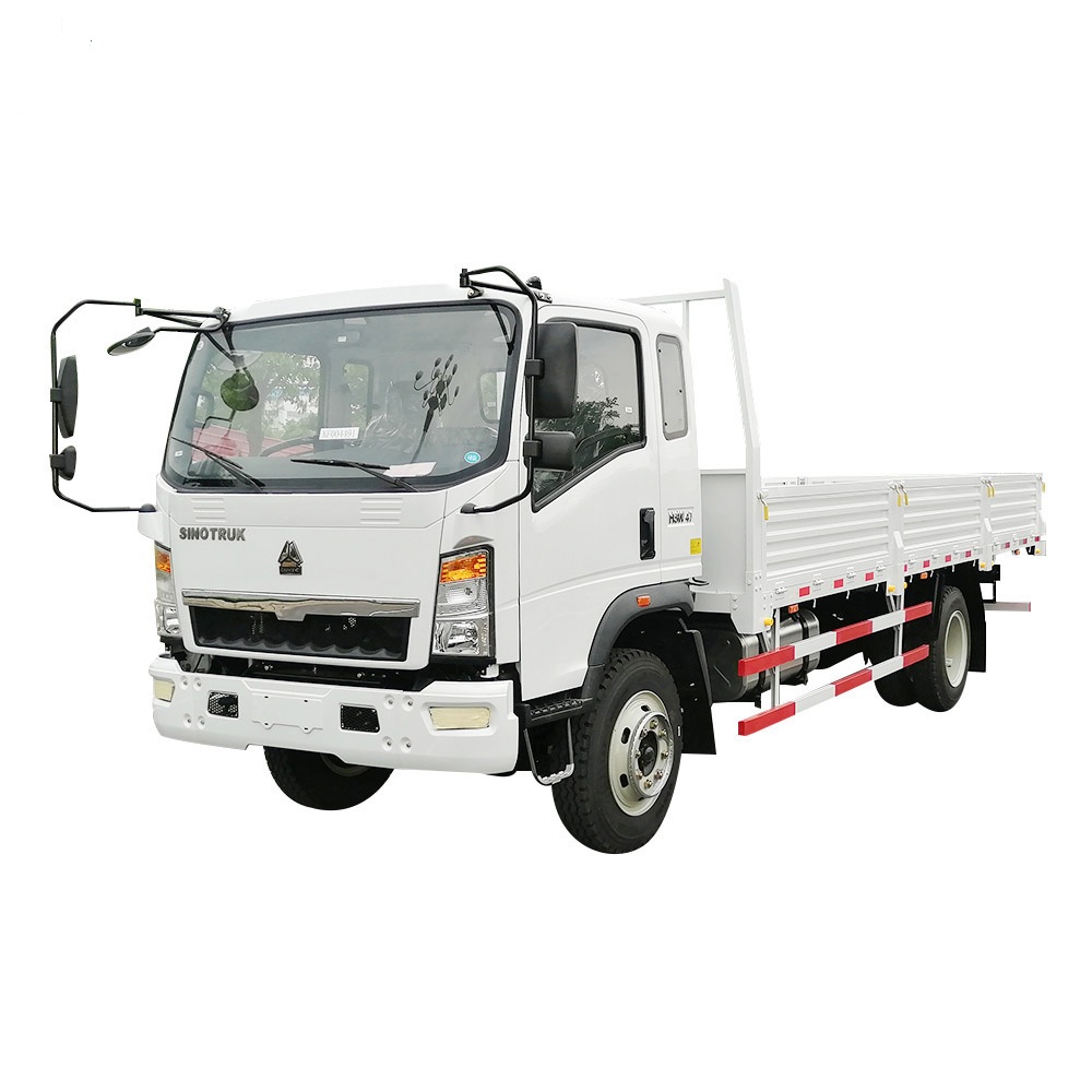 HOWO 4X2 3T 5T Cargo Truck