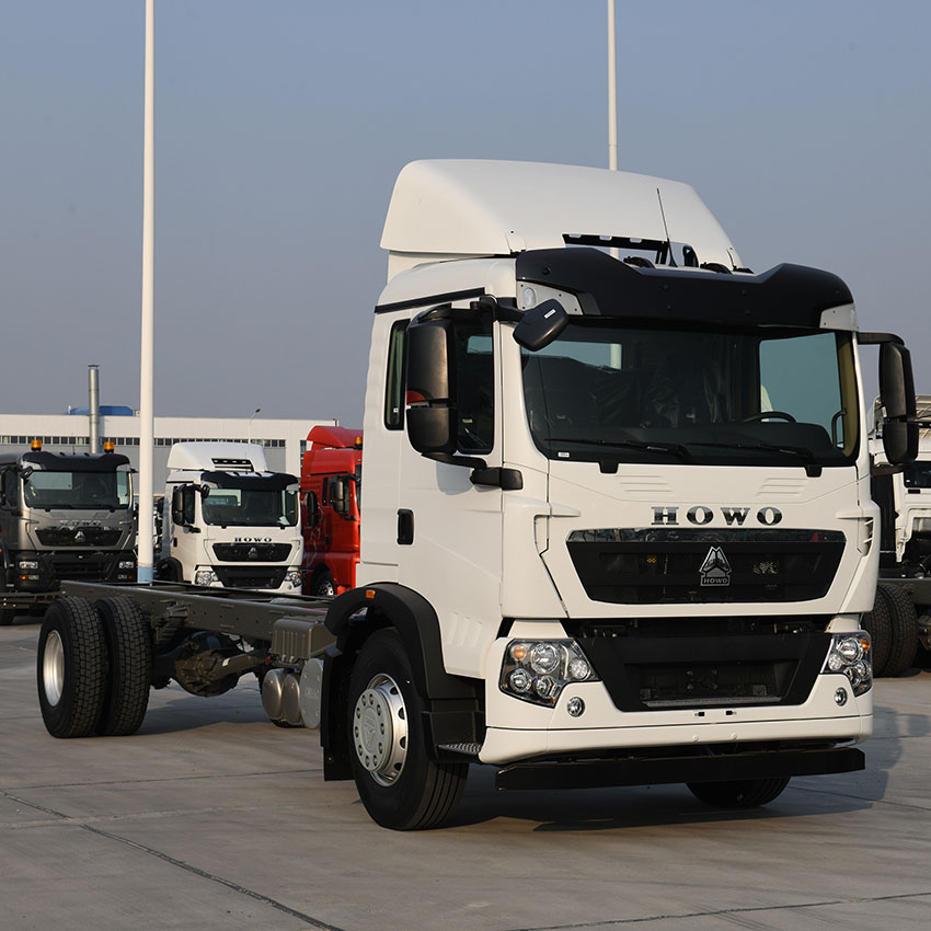 SINOTRUK HOWO TX 6200mm Wheelbase Cargo Chassis For Algeria