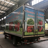 HOWO 4X2 5T Light Duty refrigerator truck