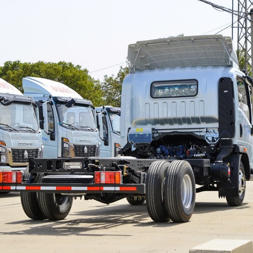 HOWO 4X2 3T Cargo Lorry Truck for Algeria