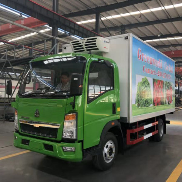 HOWO 4X2 5T Light Duty refrigerator truck