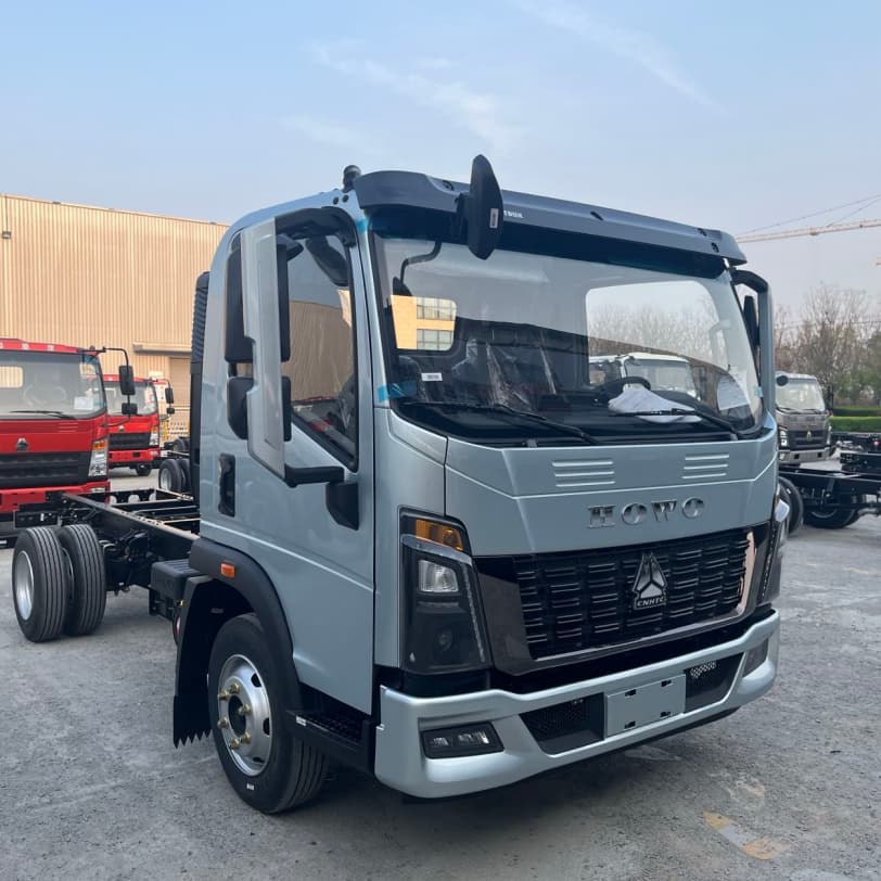 HOWO 4X2 3T Cargo Lorry Truck for Algeria