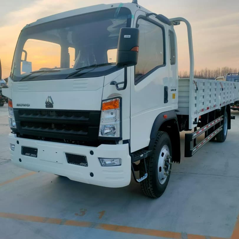 HOWO 4X2 3T 5T Cargo Truck
