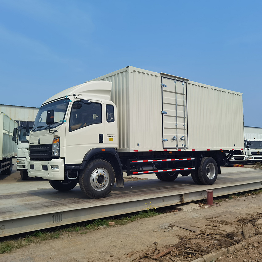 SINOTRUK HOWO 4X2 5T Light Duty Van Cargo Truck