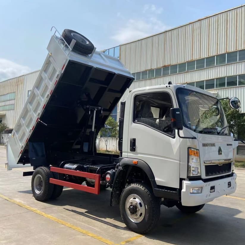 HOWO 4X2 3T 5T Dump Tipper Cargo Truck