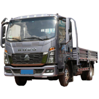 HOWO 4X2 3T Cargo Lorry Truck for Algeria