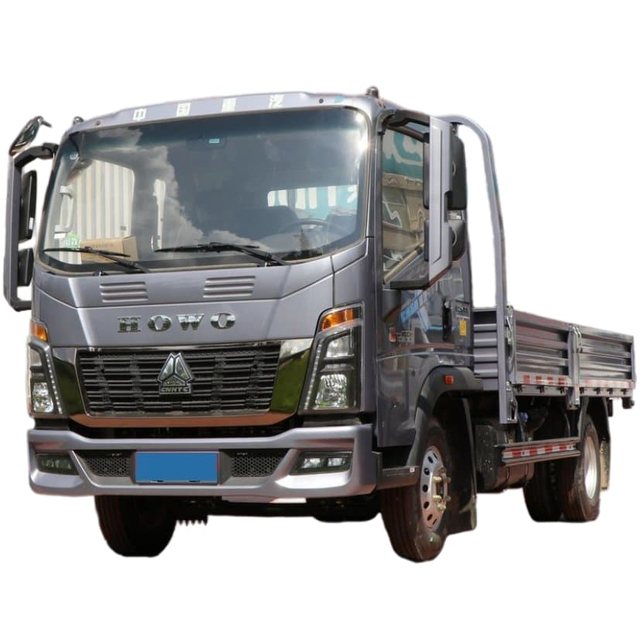 HOWO 4X2 3T Cargo Lorry Truck for Algeria