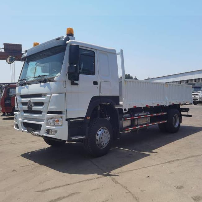 HOWO 4X2 Heavy Duty Flatbed Cargo Lorry Truck