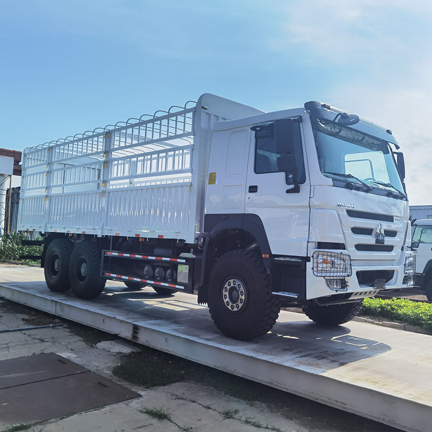 SINOTRUK HOWO 6X4 25T Cargo Truck 2